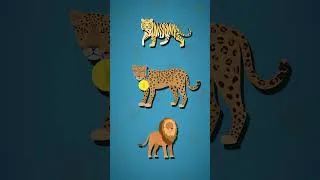 Thumbnail: How Strong Are Leopards?