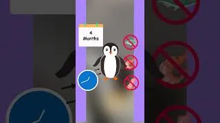 Thumbnail: What Do Penguins Eat In The Really Cold Weather?