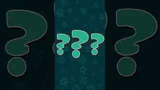 Thumbnail: What Sounds Do Dogs Make?
