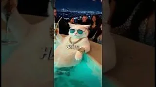 Thumbnail: Adorable Cat Relaxing in Hot Tub  Viral Cat Video#catShorts#viralCat#cuteCat