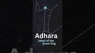 Thumbnail: Adhara: The 22nd Brightest Star in the Night Sky