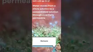 Thumbnail: 0610 w25 qp 12 Q7Water moves from a dilute to a concentrated solution via membrane is called?