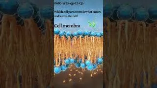 Thumbnail: 0610 w25 qp 12 Q5Cell StructureWhich cell part controls what enters and leaves the cell?