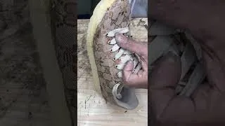 Thumbnail: Fixing Destroyed Gucci Soles Made Them Look Brand New