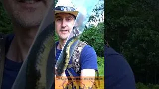 Thumbnail: Rattlesnake Camp Weekend in the Pa Wilds