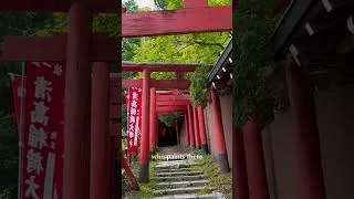 Thumbnail: One of Japan's best-kept secrets? ⛩️