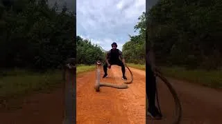 Thumbnail: viral video 🔥🚨