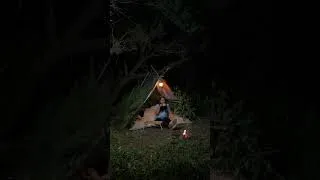 Thumbnail: Solo Survival Bushcraft 🌲