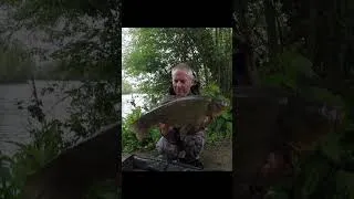 Thumbnail: My Best Tench Of The Year #shorts