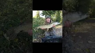 Thumbnail: Sussex Pike Fishing Oct Dec #shorts