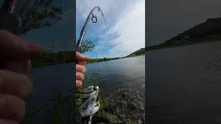Thumbnail: Caught a Turtle while catfish fishing