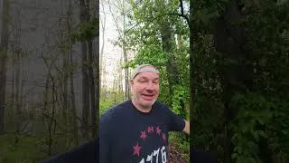 Thumbnail: Doritos Late Night Zesty Jalapeno Popper review