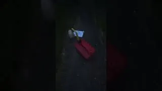 Thumbnail: How to kill remove ground hornet yellow jacket nest