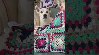 Thumbnail: Learned to crochet in 2024, here's what I made