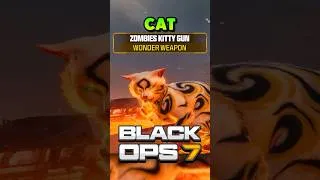 Thumbnail: Cat Wonder Weapon???