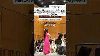 Thumbnail: this is what dancing to the music feels like | Sibelius Violin Concerto