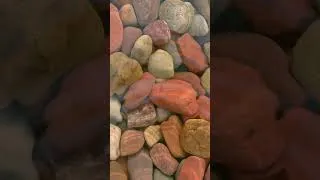 Thumbnail: October 25, 2024