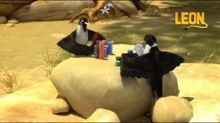 Thumbnail: Poker birds 🦁 #short #crazyanimals