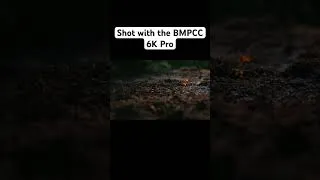 Thumbnail: Behind the scenes with the Bmpcc6k Pro #behindthescenes #filmmaking #bmpcc6kpro #beforeandafter