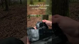 Thumbnail: POV photography on a rainy day... #povphotography #rainphotography #naturephotography #relaxingasmr