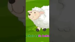 Thumbnail: Little Bo Peep | English Cartoon Rhymes for Kids
