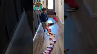 Thumbnail: NumberBlocks Domino Chain Reaction Crazy Run #numberblocks #learntocount #kidseducational #kidsshow