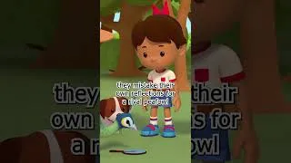 Thumbnail: Green Peacocks LOVE to Look at themselves in the Mirror! | Leo the Wildlife Ranger #shorts