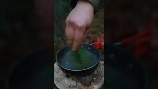 Thumbnail: Bushcraft solo #camping #bushcraft #survival #building