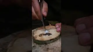 Thumbnail: Bushcraft solo #camping #bushcraft #survival #building