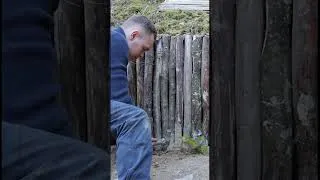 Thumbnail: Bushcraft skills #bushcraft #survival #camping #forest #shorts Part 5