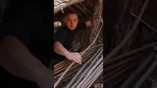 Thumbnail: Bushcraft skills #bushcraft #survival #camping #forest #shorts Part 4