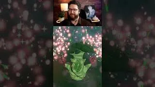 Thumbnail: Finding Koroks & Upgrading Gear with Hestu! Zelda Gameplay #shorts