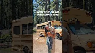 Thumbnail: How I keep my pet safe living in a bus full time
