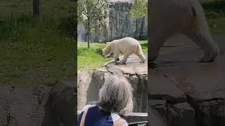 Thumbnail: 1st Grade Field Trip (Zoo) #zoo #school #fun #teacher #shorts