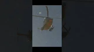 Thumbnail: #helicopter  start #Olympic park #Munich in the #snow