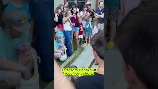 Thumbnail: Nobody Told Me the Chattanooga Zoo Does This Every Year