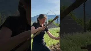 Thumbnail: #carpathianlife #carpathianmountains #carpathiansukraine #nature