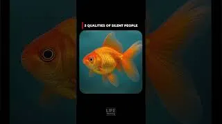 Thumbnail: 5 qualities of silent People