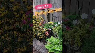 Thumbnail: Small Garden, Big Impact.