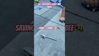 Thumbnail: Nathan saves his first bumble bee! 🐝