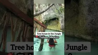 Thumbnail: I found a tree house in the jungle in Mexico. #tulummexico #cenote #discovermexico #travelmexico