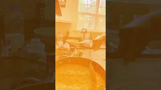 Thumbnail: Come let cook some delicious Ghana jollof. #cooking #family