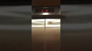 Thumbnail: Riding down the #elevator #shorts