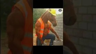 Thumbnail: Horses back then vs today🐎 #memes