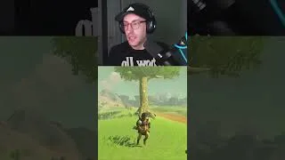 Thumbnail: They don’t call ‘em Evernices # #totk #botw #zelda #loz gaming