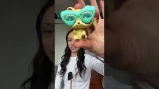 Thumbnail: #ad letting my LPS Pets pick my outfit!