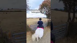 Thumbnail: POV: you’re in an ultra realistic free roam horse game🎮🐴🗺️ #horsegame #pov #equestrian #game