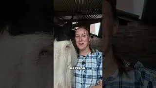 Thumbnail: Did someone say even more ASMR & behind the scenes content mixed in with live chats & more🤭👀🐴