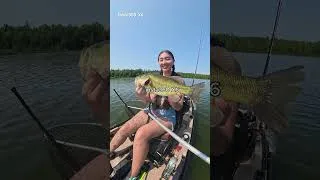 Thumbnail: 360° cameras are on SALE🔥 Up to 20.5% off! Use code LILYFISH for a FREE gift! (X6 not included)