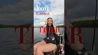 Thumbnail: You cannot reason with a tiger, when your head is in its… 🐯🐟￼